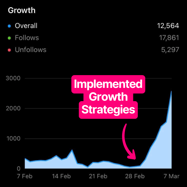 Instagram growth insights