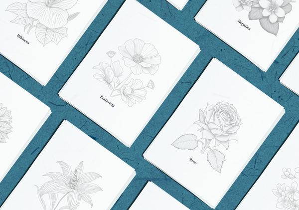 Flower illustrations for sketching and tracing