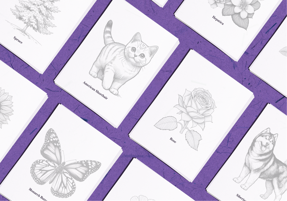 All in one bundle for sketching and tracing